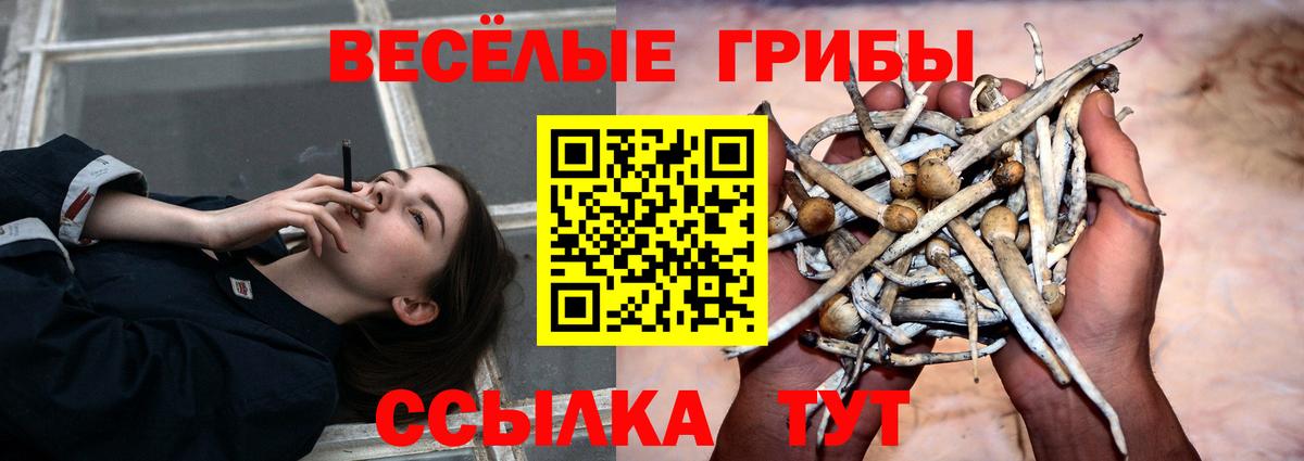 Псилоцибиновые грибы MAGIC MUSHROOMS Сызрань